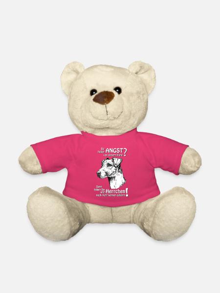 Angst vor Foxterrier? Herrchen - Teddy - Pink