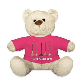 Rechenzentrum IT EDV Nerd Computer Shirt Geschenk - Teddy - Pink - Vorne