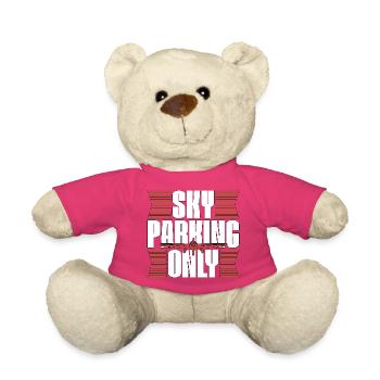 Private Pilot Sky Parking Only Aviation Enthusiast - Teddy - Pink - Vorne