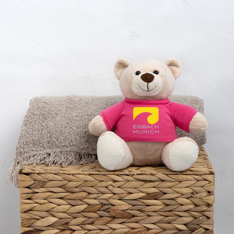 Munich Eisbach Teddy