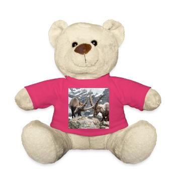 Steinböcke im Duell - alpine Nahaufname - Teddy - Pink - Vorne
