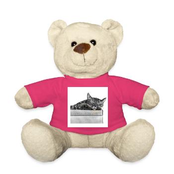 Rêve silencieux de chat dans une boîte - Nounours - rose - Devant