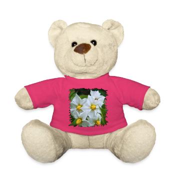 Weiße Kartoffel Blüten mit gelben Staubgefäßen - Teddy - Pink - Vorne