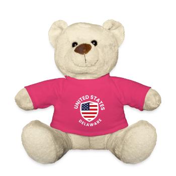 USA Delaware Shield Flagge - Teddy - Pink - Vorne