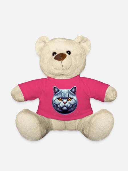 Britische Kurzhaarkatze - Teddy - Pink