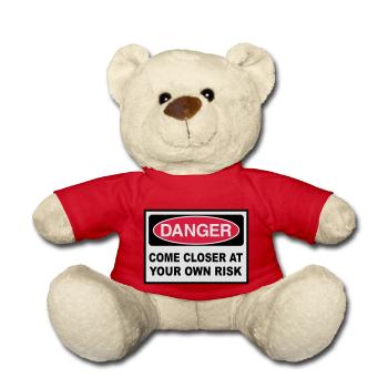 2541614 15144461 danger - Teddy - Rot - Vorne