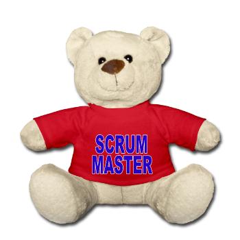Agil - Meister Scrum - Teddy - Rot - Vorne