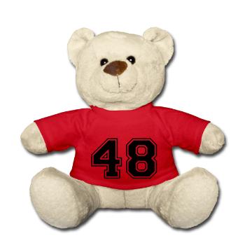 48 - Teddy - Rot - Vorne