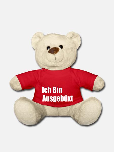 Party Spruch - Teddy - Rot