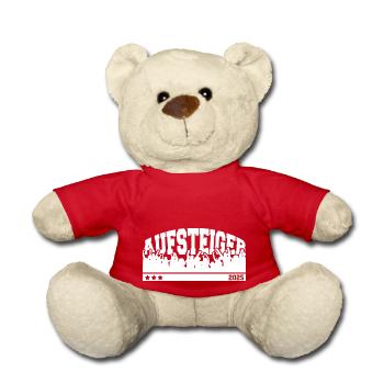 Aufsteiger 2025 Aufstieg Fußball Handball - Teddy - Rot - Vorne