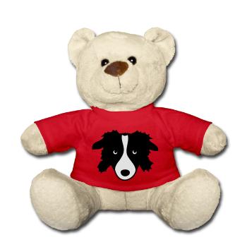 Border Collie - Teddy - Rot - Vorne