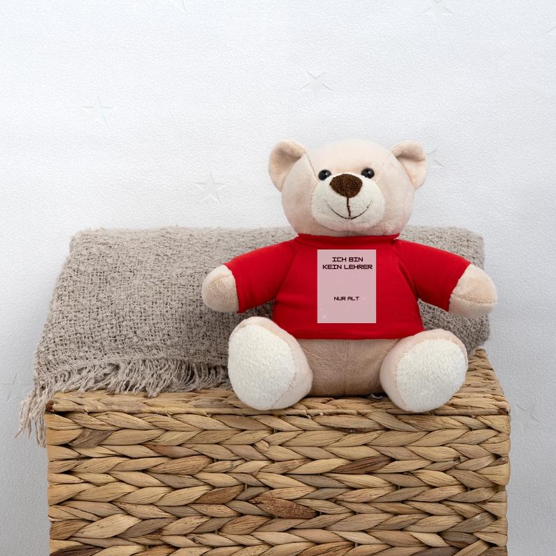 Lehrer Teddy