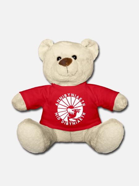 Annibyniaeth Nid Dibyniaeth - Teddy - Rot