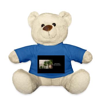 Streetwear LCLV - Nounours - bleu roi - Devant