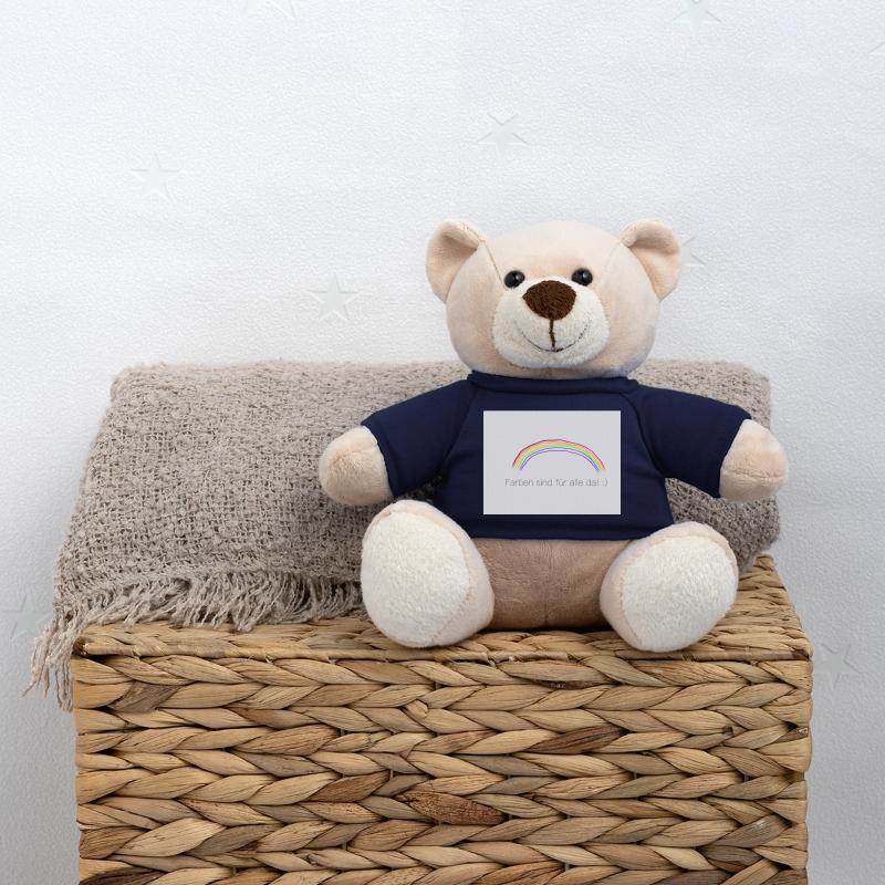 Regenbogen Teddy