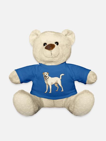 Kangal Hund - Teddy - Königsblau