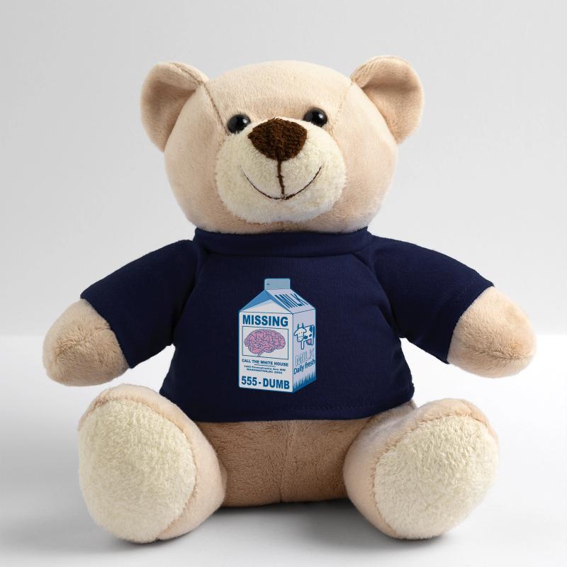 Missing brain Teddy Bear