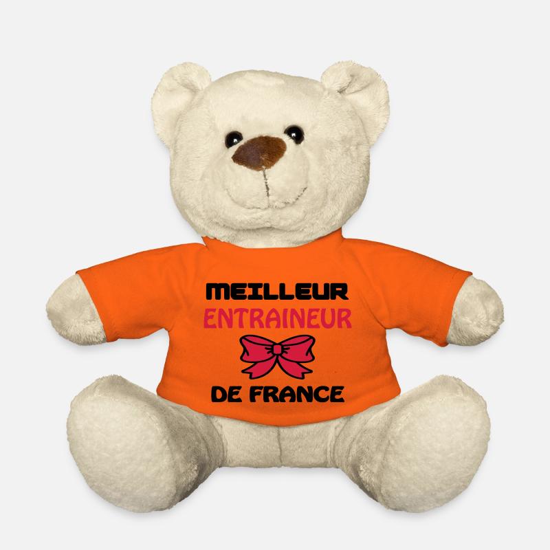 BESTER REISEBUS IN FRANKREICH - Teddy - Goldorange