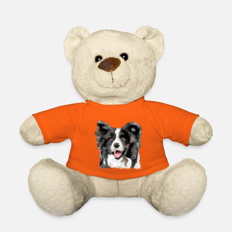 Border Collie - Nounours - orange doré