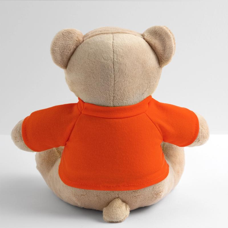 Hirn oder Steine (md) Teddy