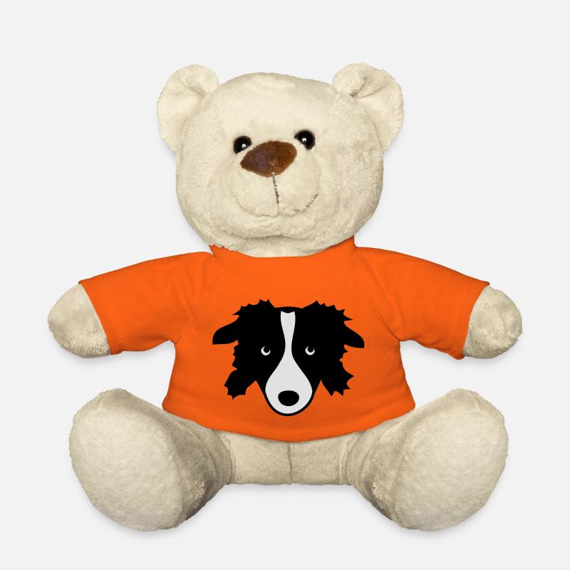 Border Collie - Nounours - orange doré