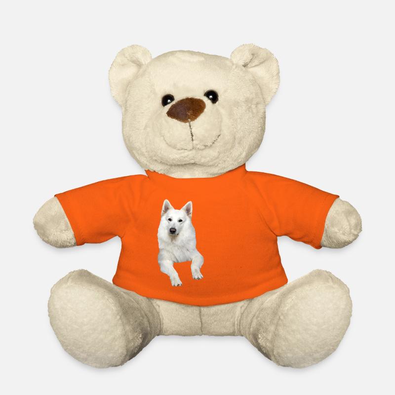 Schäferhund weißer Schäferhund Schweizer Hunde - Teddy - Goldorange