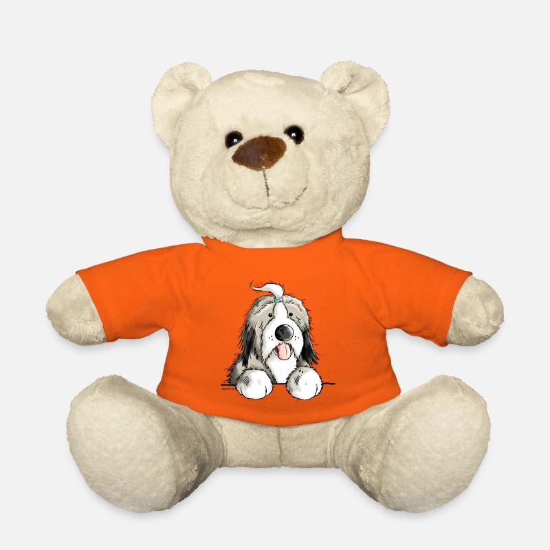 Happy Bearded Collie - Teddy - Goldorange