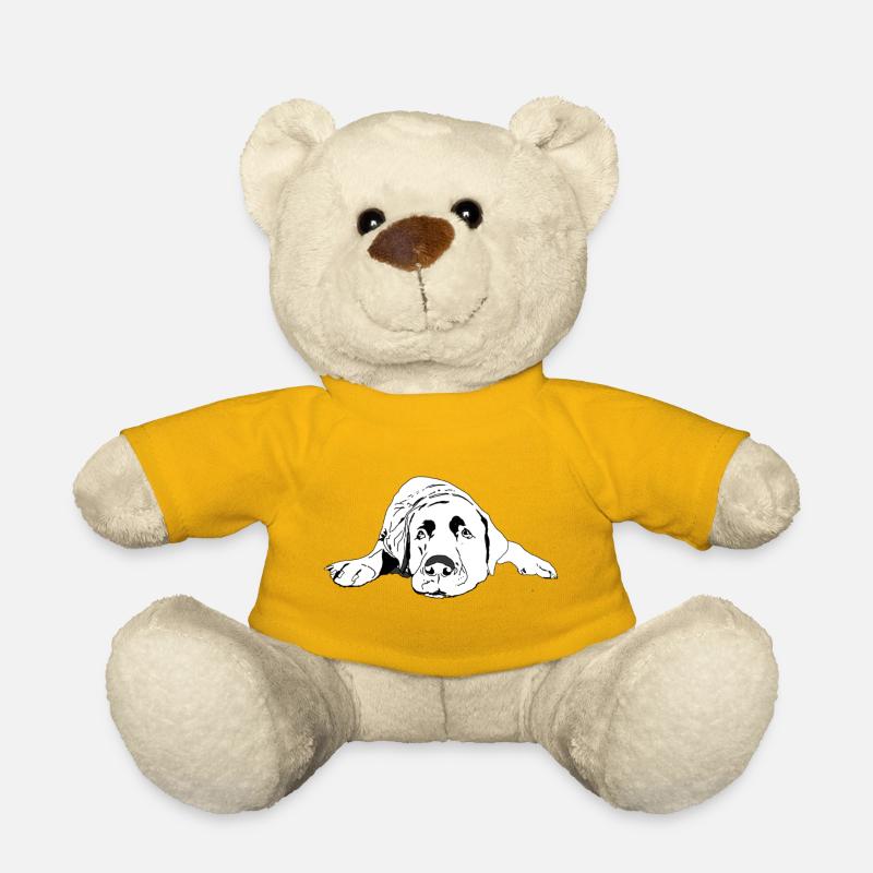 Labrador - Teddy - Sonnengelb