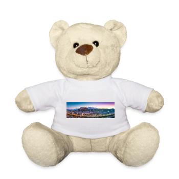 Salzburg Panorama in the evening - Teddy Bear - sun yellow - Front