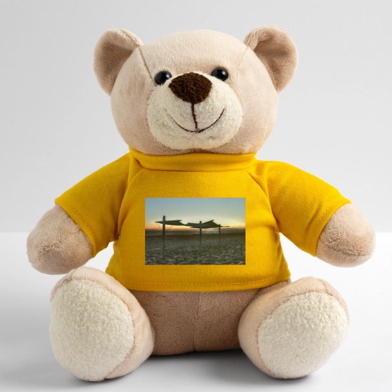 Empty beach Teddy Bear