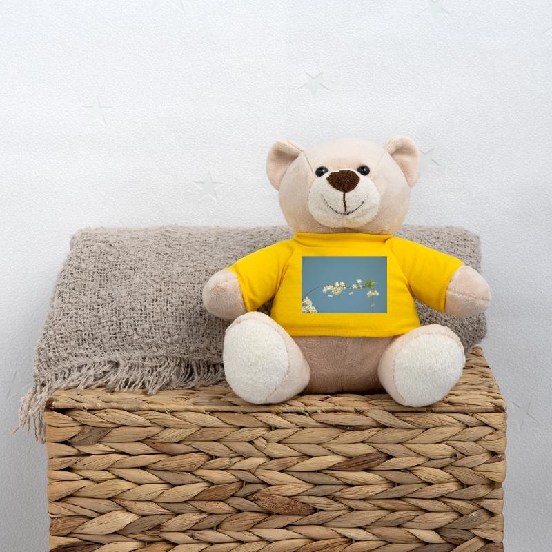 kirschblueten Teddy
