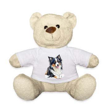 Border Collie - Teddy - Sonnengelb - Vorne