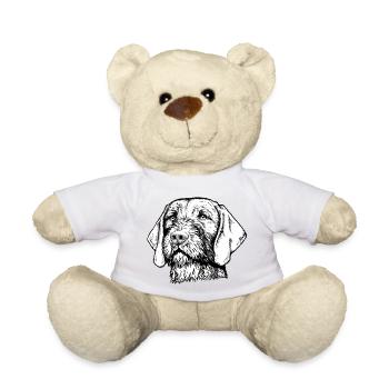 Magyar Viszla Drahthaar 01 sw - Teddy - Sonnengelb - Vorne