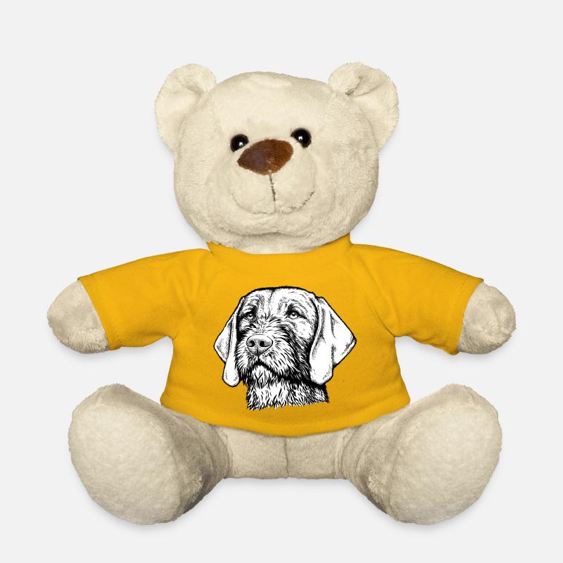 Magyar Viszla Drahthaar 01 sw - Teddy - Sonnengelb