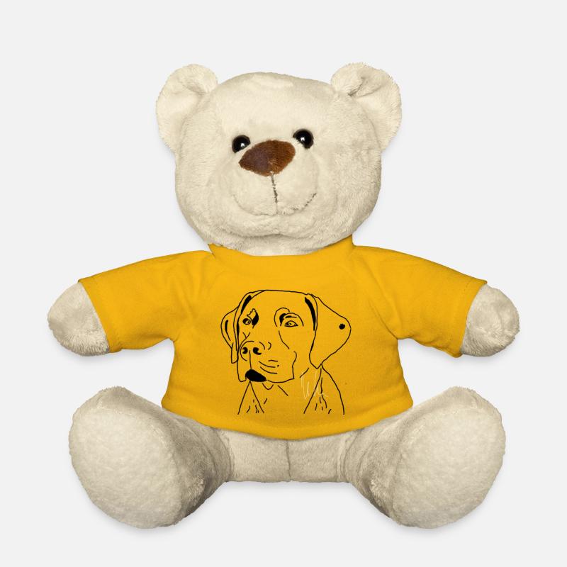 Labrador - Teddy - Sonnengelb