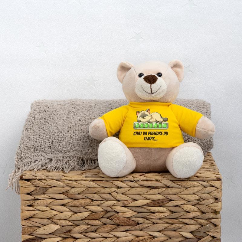 Katze wird Zeit brauchen - süßes Kätzchen Teddy