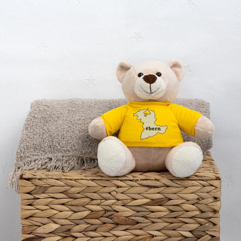 BE Bern Teddy