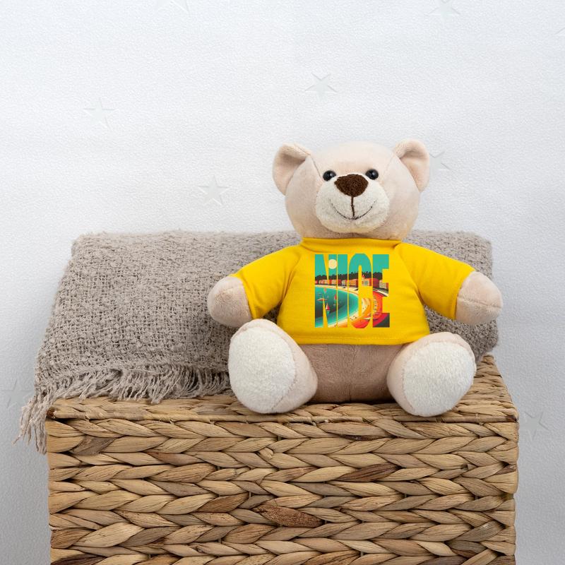 Nice Colorful Panoramic Teddy Bear