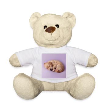 Schlafender Welpe auf fliederfarbenem Hintergrund - Teddy - Sonnengelb - Vorne