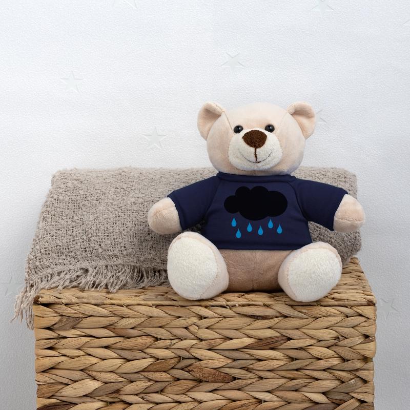rain Teddy Bear
