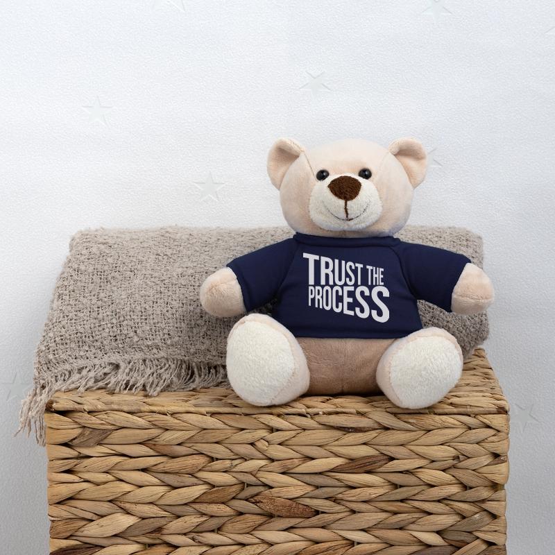 trust the process Zitat Teddy