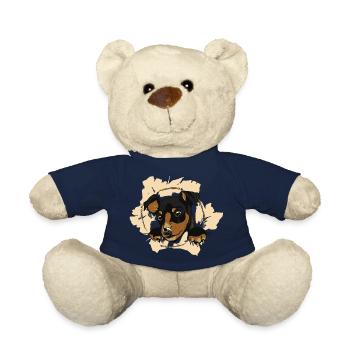 Ein Hund schaut liebevoll und neugierig - Teddy - French Navy - Vorne