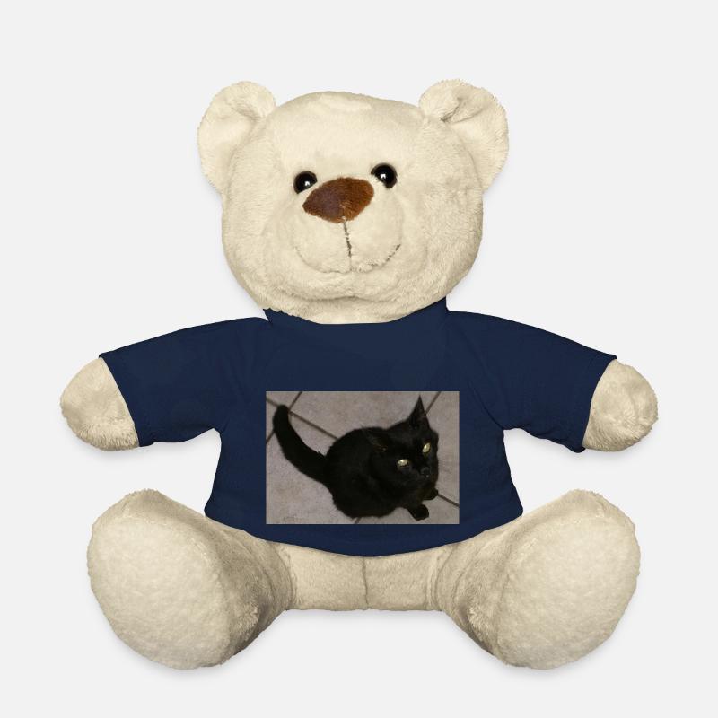 Schwarze Katze - Teddy - French Navy