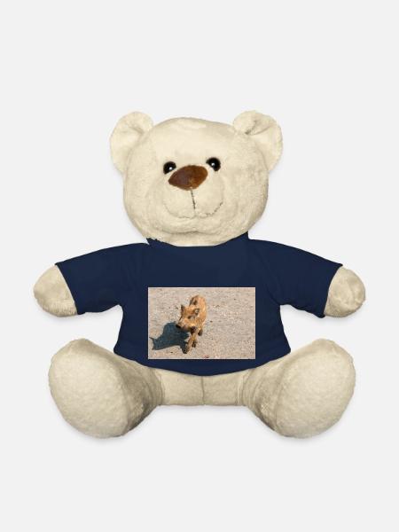 Frischling Wildschwein (Sus scrofa) im Wald - Teddy - French Navy