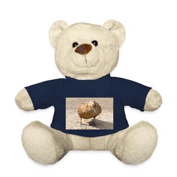 Eider Duck (Eiderente, Somateria mollissima) - Teddy - French Navy - Vorne