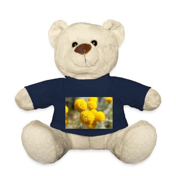 Lavender cotton or Grey santolina Heiligenkraut - Teddy - French Navy - Vorne