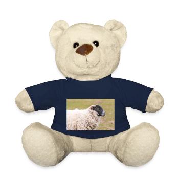 Schaf Ovis in Irland - Teddy - French Navy - Vorne