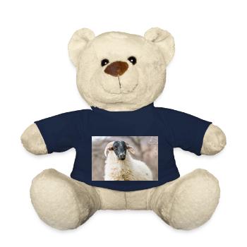 Schaf Ovis in Irland - Teddy - French Navy - Vorne