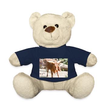Ankole-Watusi oder Ankole Longhorn Watussirind - Teddy - French Navy - Vorne