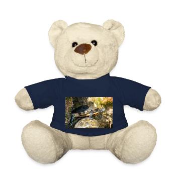 Gelbbauch-Slider Trachemys scripta scripta - Teddy - French Navy - Vorne